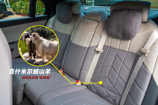 “真皮座椅”已经不是豪华的代名词了？