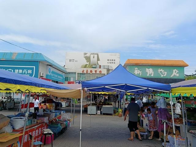 自驾新疆安集海大峡谷到新疆国际大巴扎美食的诱惑