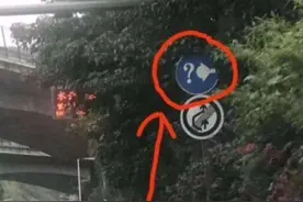 清明节跑高速的注意了，隧道前出现“问号+灯泡”标志，别违反了图片