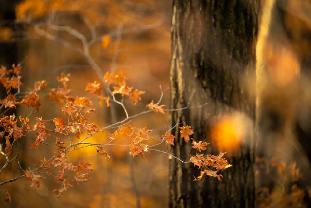 黑？粉？只在一程山水间