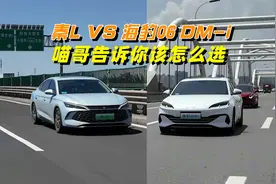比亚迪秦L和海豹06 DM-i怎么选？喵哥告诉你区别，听我劝错不了