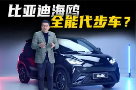 A00级的价值标杆，凭什么是海鸥？视频封面