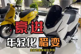 大胆竟说豪进是杂牌，你问过非洲的兄弟没有，猎变小肥鹅与本田LA视频封面