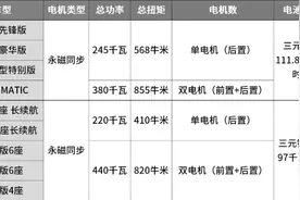 两辆挺贵的电动车，开起来怎么样？图片