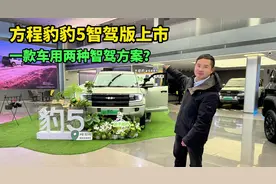 23.98万起方程豹豹5智驾版上市，天神智驾和乾崑智驾怎么选更合适视频封面