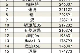 2024年1-12月国内汽车销量排行榜图片