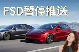 新规影响，FSD暂停推送视频封面