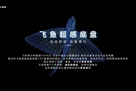 是好看的皮囊，还是有趣的灵魂：看飞鱼超感底盘，懂星途.瑶光图片