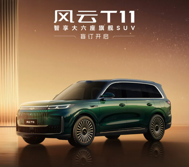 奇瑞风云T11开启盲订