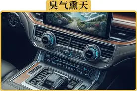 夏天空调有异味，4S店推荐的空调清洗要做吗图片