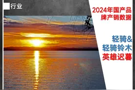 2024年国产品牌的产销数据︱轻骑&轻骑铃木，英雄迟暮图片