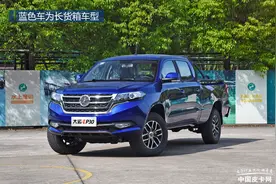 知名度不高却仍然在售 这些“昙花一现”的冷门皮卡你听过吗？图片