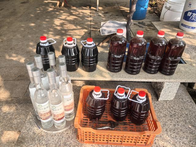 宝马i3/i5 赴一场山海葡香的青岛-大泽山自驾之约