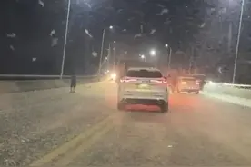 失控打滑，开车上桥遇到10亿只飞虫，车主：地上的虫有几厘米厚图片