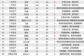 盘点可能上榜315的汽车品牌，到底谁问题最大？图片