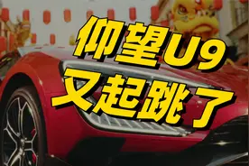 仰望U9又起跳了，方程豹致敬“真正的迪粉”