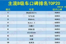 B级车别乱买！最新“口碑”排名TOP20：Model 3第4，迈腾雅阁上榜图片