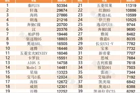 3月轿车销量榜出炉：1-199名，谁成为销量冠军，谁令人心痛？图片