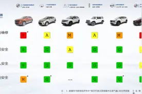 中保研测试出炉，国产坦克安全性，堪比沃尔沃！图片