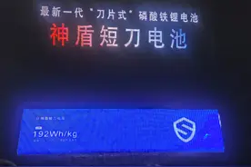 有没有吹的那么好？探秘神盾短刀电池，靠什么领先一代？图片