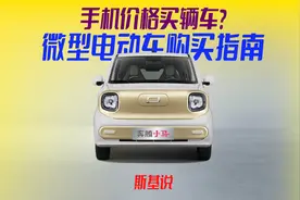 微型电动车遇上国家新能源置换补贴，我真的不是在开玩笑！视频封面
