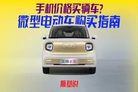 微型电动车遇上国家新能源置换补贴，我真的不是在开玩笑！视频封面