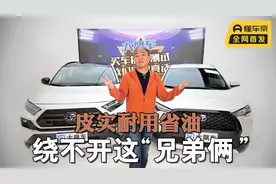 皮实耐用还省油，选家用SUV绕不开这“兄弟俩”视频封面