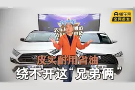 皮实耐用还省油，选家用SUV绕不开这“兄弟俩”视频封面
