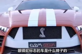 眼镜蛇标志的车是什么牌子视频封面