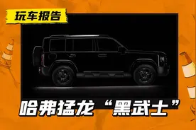 哈弗猛龙全车黑化！“黑武士版”官图发布，定价或在20万内图片