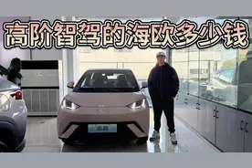 天神之眼C下放，带高阶智驾的比亚迪海鸥究竟卖多少钱？视频封面