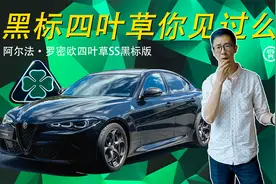 黑标的四叶草你见过么？视频封面