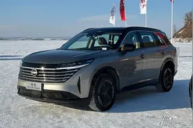 日系底盘不如国产车？20多万的日产探陆，只求舒适用麦弗逊更好？图片