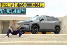 犯了跟特斯拉FSD一样的错，铂智3X智驾初体验视频封面