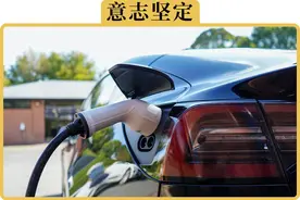 为什么有的人说打死都不买电车？图片