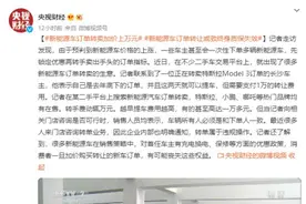 转手赚万元？“黄牛”新能源车订单将取消终身质保图片