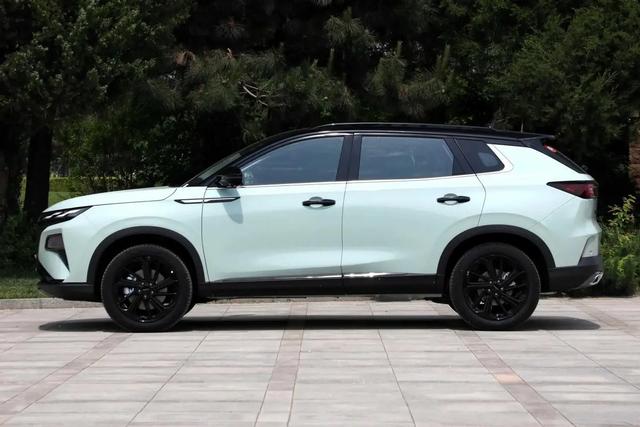 �����춯SUV�³�Ա������𩼫�춯�棬ͽ��������������ʵ����