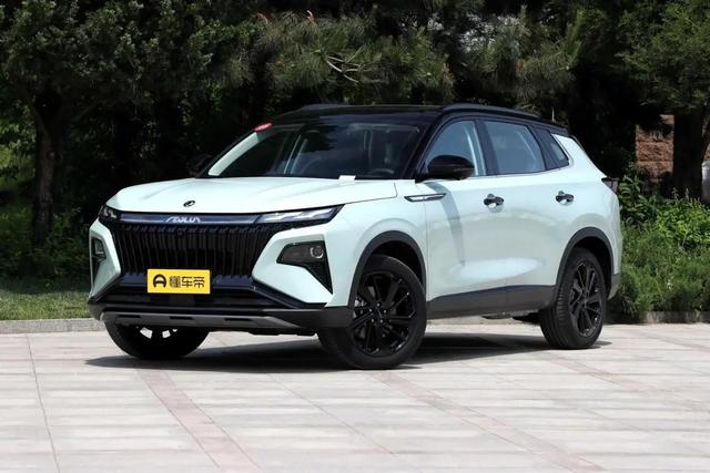 �����춯SUV�³�Ա������𩼫�춯�棬ͽ��������������ʵ����