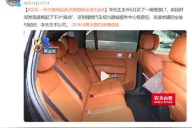 座椅鼓包、塌陷、起“麻点”，理想的“大沙发”怎么了？图片
