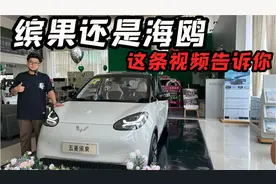 还在纠结是缤果还是海鸥？这条视频给你答案视频封面