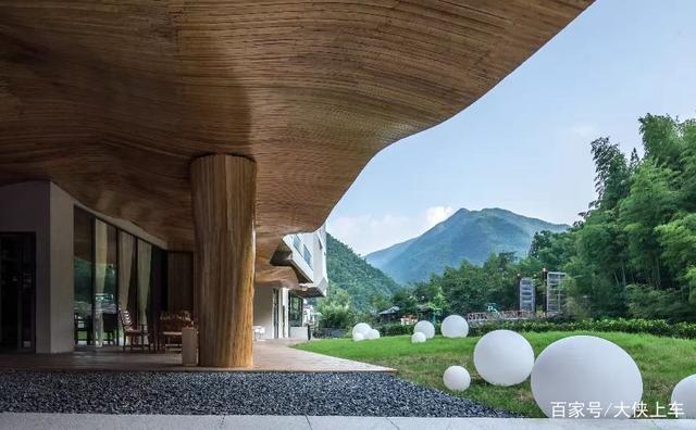 畅游安吉白茶原产地，与凡尔赛C5 X共品山奢之美