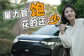 只卖理想L3.5的价？零跑C16便宜 有没有好货？