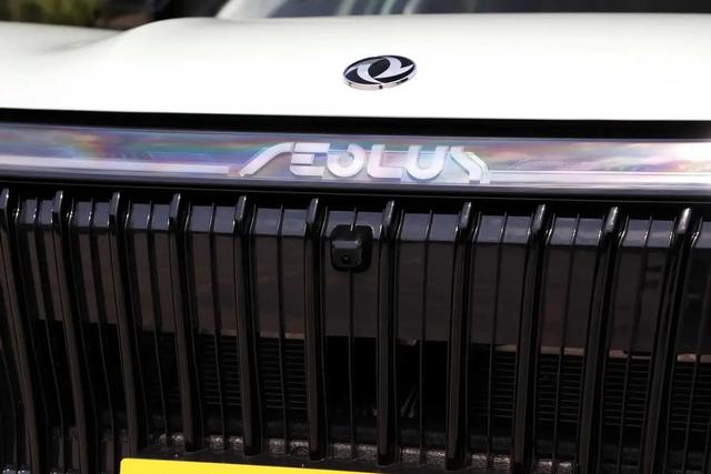 �����춯SUV�³�Ա������𩼫�춯�棬ͽ��������������ʵ����