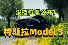 不会挂挡开不走？特斯拉Model 3攻略