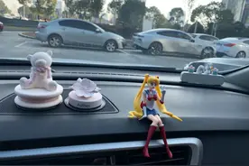 危及安全！不仅是“智商税”，买了车后一定不要装的6个汽车用品图片