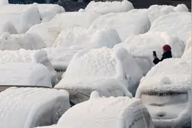 2022年关税上涨，一货船紧急穿越日本海遇雪暴，新车被冻，疑报废图片