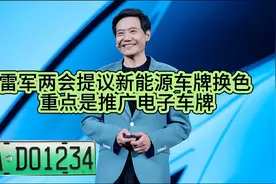 雷军两会提议新能源车牌换色 重点是推广电子车牌视频封面