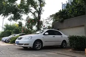 车子经常停树下，要经常检查这几个地方，免得漏水就麻烦了图片