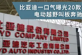 汽势观察：比亚迪一口气曝光20款新车 电动越野叫板奔驰大G图片