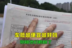 买车险价格越低越好吗？听喵哥一句劝，别被保险公司的套路坑了